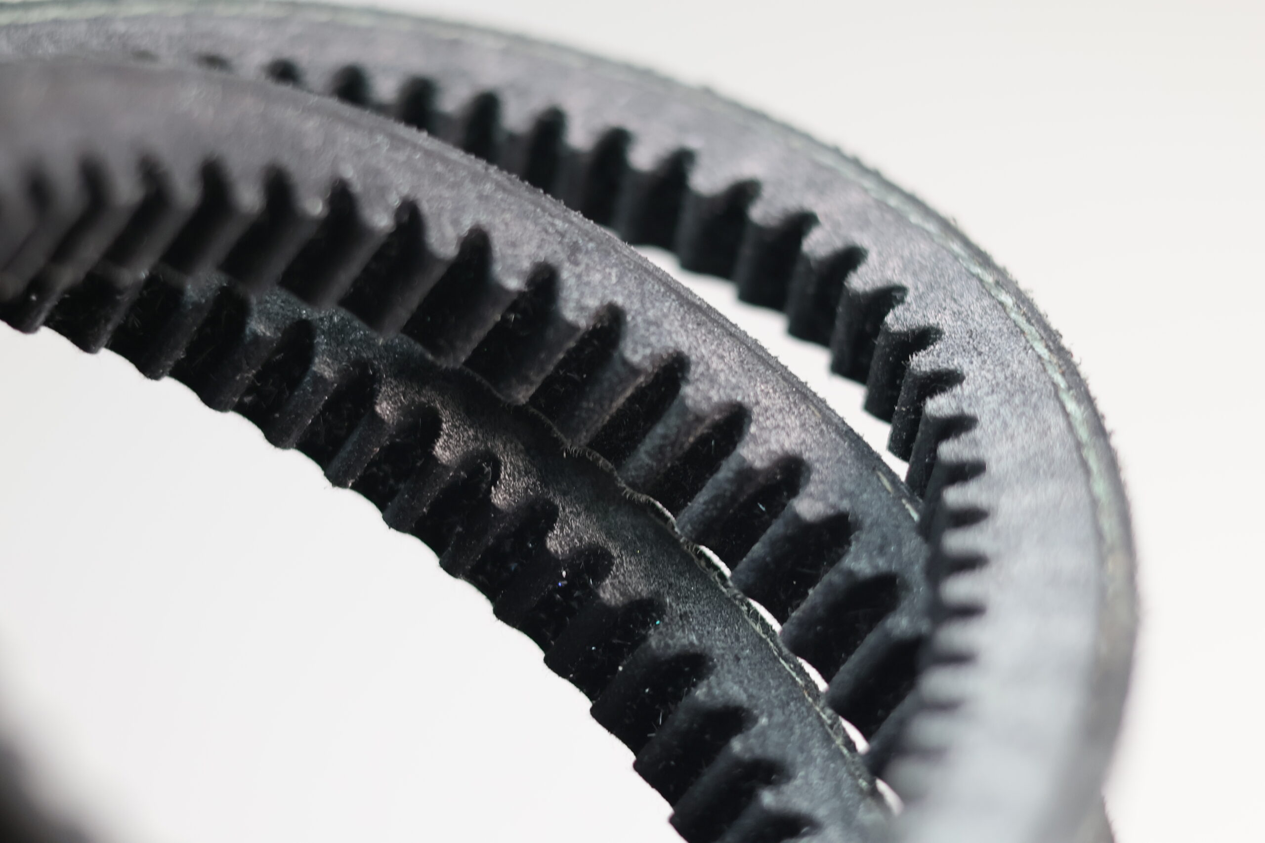 بيت 1 بيت IMG 0541 scaled